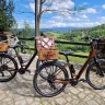 Self E-bike Tour delle Langhe con Picnic in Vigna