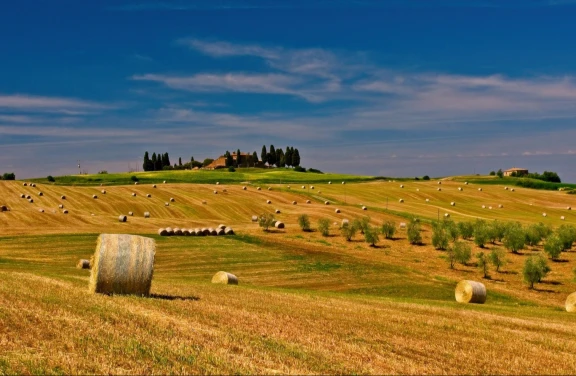 Chianti